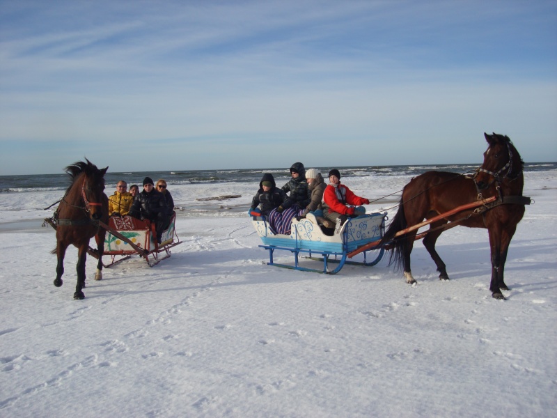Žiemą žirgų traukiamos rogės Palangos paplūdimyje